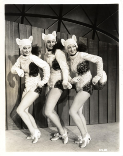 dreaminparis:  Cat Girls Chorus. From 1933’s Footlight Parade. 