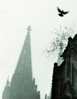 Blick von St. Andreas photo by Karl-Heinz Hargesheimer, 1957