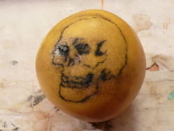 Just did my first tattoo.   Free-handed a skull on a grapefruit.  Used a magenta skull in a snow-globe as reference.   Looking for an apprenticeship.