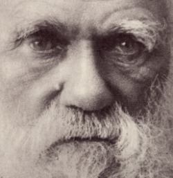 gradmom:  Happy Darwin Day! Celebrate by: Going to a Darwin Day
