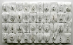  The Great Wall of Vagina by Jamie McCartney. The Great Wall of Vagina is a 9 metre long sculpture made of 400 plaster casts of vulvas, all of them unique, arranged into ten large panels. The age range of the women is from 18 to 76. Included are mothers