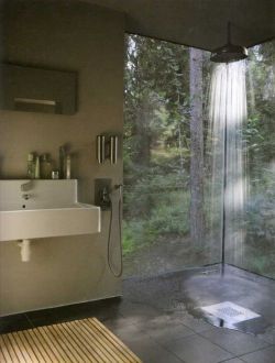 yousillybastard:  saola:  i only wish this was my bathroom  yeah so bears and lumbermen can come and masturbate to your morning shower 
