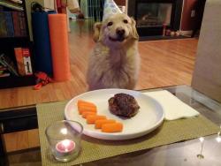 cuntpl3te:  sh0t-me-outta-da-sky:   polldoll:   theysaidyourehideous:     This picture makes me cry every time he’s so HAPPY Look at this dog. this dog is so unbelievably happy with seven fucking carrots and a damn ball of meat. Why can’t I be