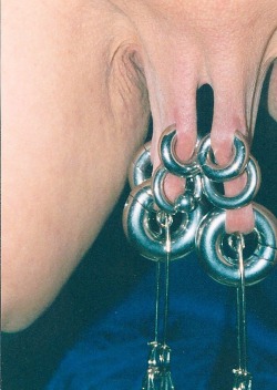 pussymodsgalore:  pussymodsgalore  Well pierced labia being stretched by heavy rings. 