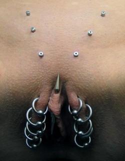 Outer labia rings, interesting jewelry in VCH, dermals.