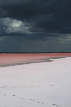 syndromed:  pink lake, australia 