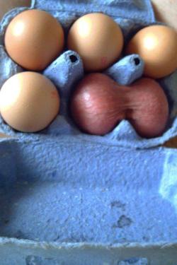 i really love eggs….