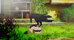zehypocriticaloath:  bramlet-abercrombie:  ((The raven is Stephen The cat is Everyone))  Good Raven! GOOD bird!  I can&rsquo;t stop watching this because I&rsquo;m just awed by how the cat fluffs up before he even gets up to swat. I fucking love little