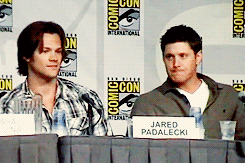 sam-winchester-is-unamoosed:  fantastic-tardis:  boater—cycles:  fluffattack:  jensenacklesruinedmylife:  thenerdangels:  Jensen is just like…Jared NO. Stop playing with that! Give to me! Jesus, I can’t take you anywhere!   #ACTUAL 5 YEAR OLD 