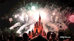   Disney Magic Kingdom Fireworks Finale  
