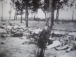 mightycocainebears:  The armenian genocide. It still has not been recognised as a genocide by every country. In fact, only two states in Australia and 43 states in America recognise it as a genocide. 600,000 - 1,800,000 Died.  And still countries refuse