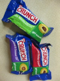nickunicorn:  thedailywhat:  EXCLUSIVE Update of the Day: Tipster Autumn, who has a cousin in high places, sent in this sneak peek of a couple other flavors in the Nestle Crunch Girl Scout candy bar line that is expected to be unveiled this June. As you