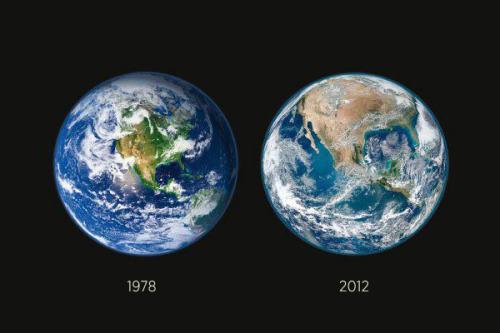 parised:  aboywhowantedtobegod:  sp0tlessmiind:  dtothev:  veganbaby:  jellybeanjeunet:  sleezysays:   NASA recently released imagery showing the deforestation of America  …in just 34 years.  We are killing the Earth  Forever reblog.  Oh wow  Damn