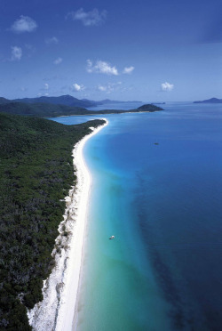 ex-oti-c:  puryfied:  fl-orish:  The Whitsunday’s, Australia  I live near here and next to the Great Barrier Reef so boom  no.. jealous :’( 