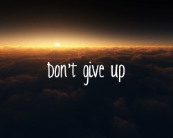  never  ever  ever give up