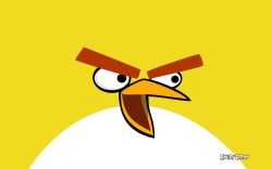 Angry Bird YELLOW.!