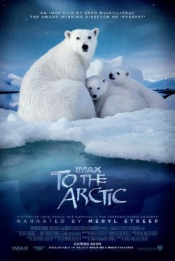          I Am Watching To The Arctic                                            