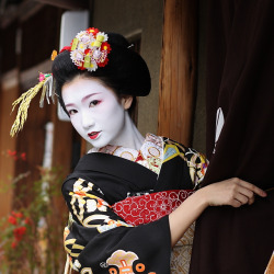 twoinfiinityandbeyond:  beautiful / geisha