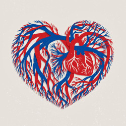 cardiac-art:  “All Heart” by Brandt Botes 