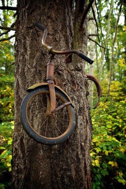 kimmycupp2k1oh:  andrewbreitel:   saltykisses:  A boy left his bike chained to a tree when he went away to war in 1914. He never returned, leaving the tree no choice but to grow around the bike. Photographer Unknown   this is absolutely beautiful ive