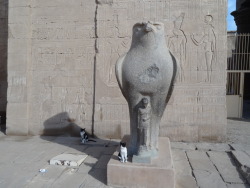 whoisthatweirdkid:  Visited a temple in Egypt