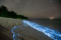 lickypickystickyfree:  Glowing Blue Waves Explained 