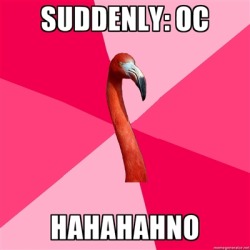 helens78:  drowsyfantasy:  fuckyeahfanficflamingo:  [SUDDENLY: OC (Fanfic Flamingo) HAHAHAHNO]  This shit is not acceptable in any fandom. Nobody cares if you write an OC but you’d better not post it.   Okay, so how do you write casefic, then? Genfic?