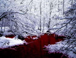 silverfei:  renoa:  cityspooks:   thescpfoundation:   SCP-354: The Red Pool   SCP-354 is a pool of red liquid located in northern Canada. The liquid is similar in consistency to human blood but is non-biological in nature. The density of the liquid