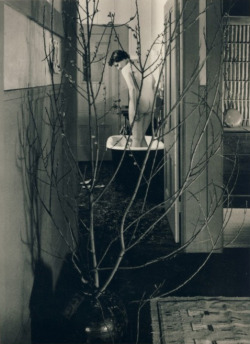 undr:  Imogen Cunningham The Bath, 1952 