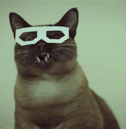 Ah, that’s russian hipster cat lol