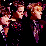  Harry Potter and the Deathly Hallows Part 1 Premiere  