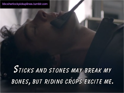 &ldquo;Sticks and stones may break my bones, but riding crops excite me.&rdquo;