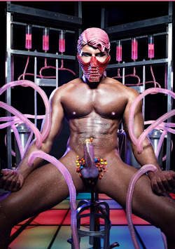 evolatex:  Welcome to the gay edition of Candy Land the Board Game. If you win, you get this. He’s waiting for you, and he’s ready to serve. 