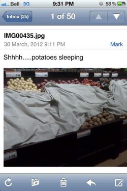 As someone lives in Idaho, I can confirm that potatoes do sleep around 9PM.