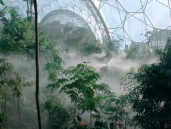 whilted:  theartfulgarden:  The Eden Project is the largest plant enclosure in the world, built in the lightest and most ecological way possible. The project is situated in a 15-hectare landscaped site, formerly a worked-out Cornish clay pit.  ☁ Wish