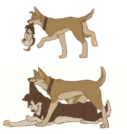 baikailing:  annathemarmotqueen:  SPN dogs The Winchester Brothers  aww, this is so cute stahp it 