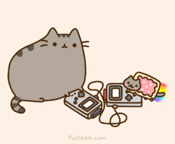 pusheen:  On the weekends I meet up with Nyan Cat to trade Pokemon! 