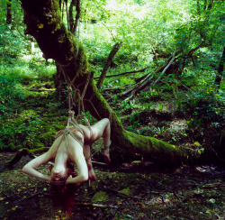 Suspended in nature takeoff-yourclothes:  forest fetish — tree suspension bondage 