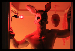  Easter Bunny? WTF! - Alexander Guerra 2012 *check out the video on YOUTUBE at: http://www.youtube.com/watch?v=dw0SkIain8M&amp;feature=g-upl&amp;context=G269e58aAUAAAAAAAAAA alexanderguerra.com ***SALE GOING ON NOW AT FAB.COM*** 