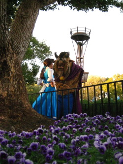 sirenalindsey:  Belle and Beast :) 
