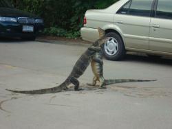 trendingrn:tranzient: FRANK FRANK, MAN, YOU’RE ALIVE I JUST… I SAW THIS HANDBAG MAN IT LOOKED JUST LIKE YOU. OH FRANK I’M SO RELIEVED.        