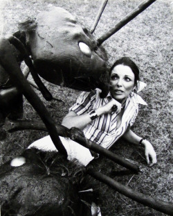 blueruins:  Joan Collins in Empire of the Ants (1977) 
