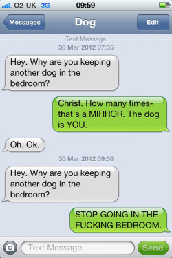 laughingsquid:  Text From Dog, Humorous Text Conversations With a Dog  The best.
