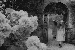 lewis-carroll:  Alice in Wonderland (1966) 