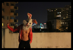  Easter Bunny? WTF! - Alexander Guerra 2012 *check out the video on YOUTUBE at: http://www.youtube.com/watch?v=dw0SkIain8M&amp;feature=g-upl&amp;context=G269e58aAUAAAAAAAAAA alexanderguerra.com 