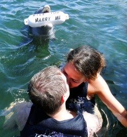 goodbye-my-lullaby:  br0ken-n:    wow so the dolphin asked her to marry him and she kisses the other guy right in front of her rude ass bitch   reblogging for the comment.  ^^ 