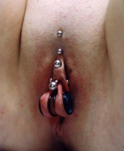 pussymodsgalore   From the top: Christina piercing, VCH piercing, triangle piercing (? under the clit), large stretched inner labia piercings with flesh tunnels. 