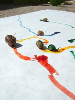 nellysketchesnstuff:  queenfancycat:  rainwhisker:   This lady dipped snails into water and dropped in a bit of food coloring and put the snails on paper and they created ART SNART   SNART  SNART: the way to complete my blog.  AAAAAAA