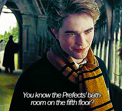 accio-ferret:  lilyfanciesprongs:  starsshiningbrightaboveyou:  thundergodnamedthor:   #Can you just imagine if there were people passing by #and they heard Cedric saying that to Harry? #they’d probably be thinking that they would go to that restroom #and
