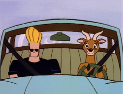  Remember that episode of Johnny Bravo when he meets a girl on the internet and she turns out to be an antelope This makes me question how many of you guys are really antelope 